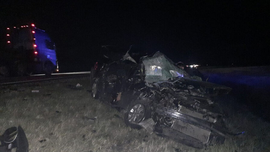 В Татарстане два человека погибли в ДТП из-за кабана на дороге